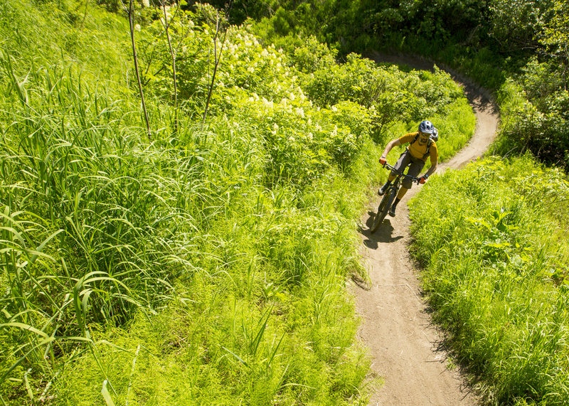 Quite fun biking....QFB trail.