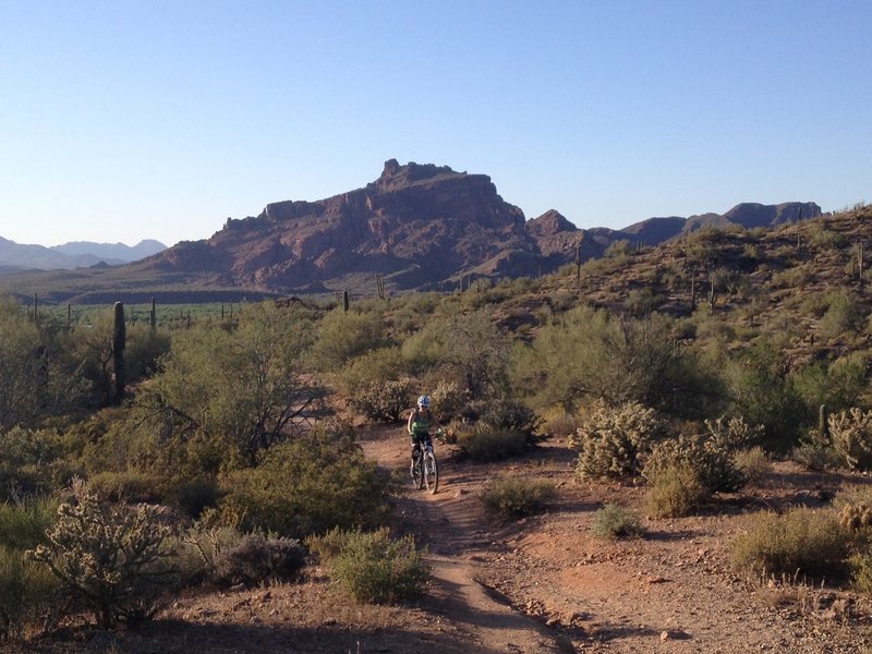 Hawes trail with Red Mountain in the background