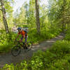 Salmon Run - fun section along Campbell Creek