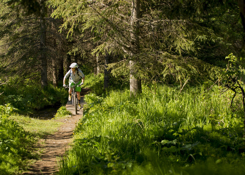 Where Moose Meadow and Black Bear meet.