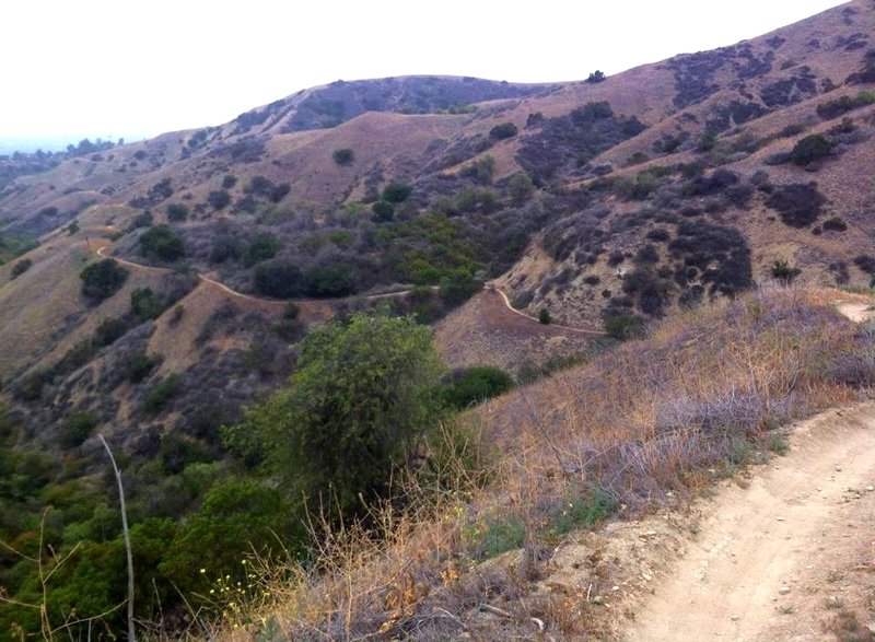 Looking down the line at Cow Trail