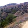 Looking down the line at Cow Trail