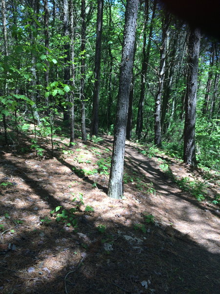Trail in this section