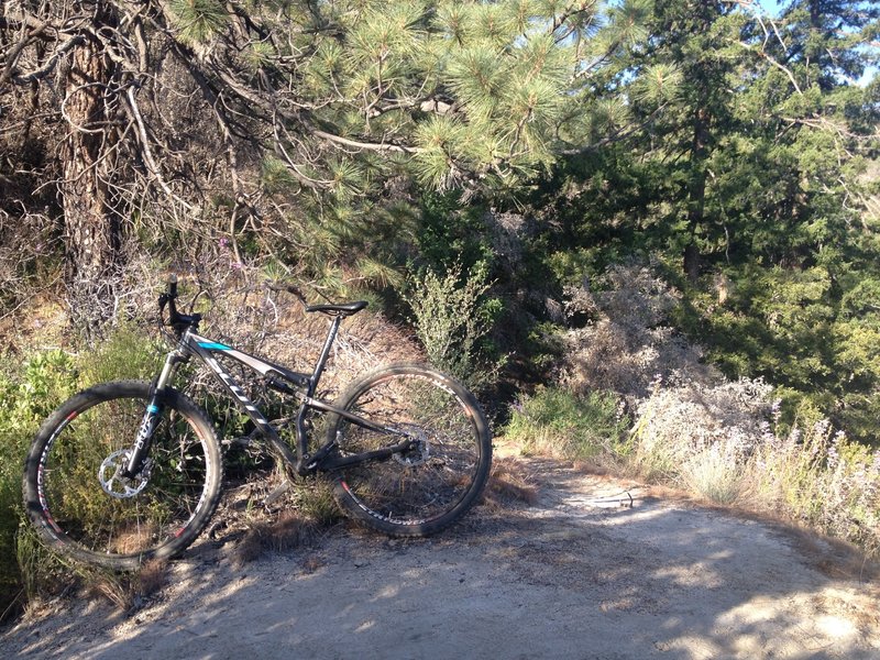 Strawberry peak trail