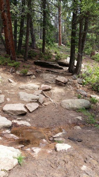 One of the somewhat difficult sections of the trail