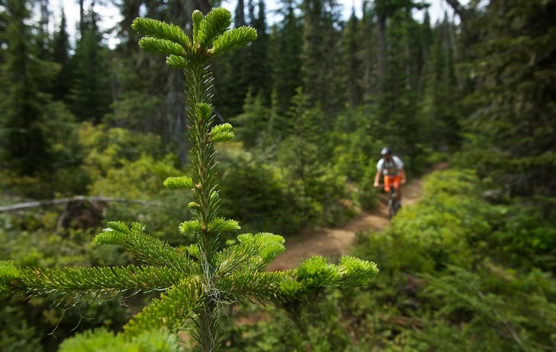 A perfect early season day on Mt. Spokane.