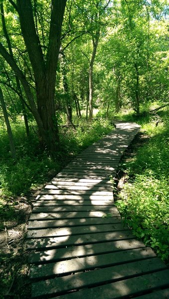 a long elevated trail on the Creekside Trail.