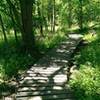 a long elevated trail on the Creekside Trail.