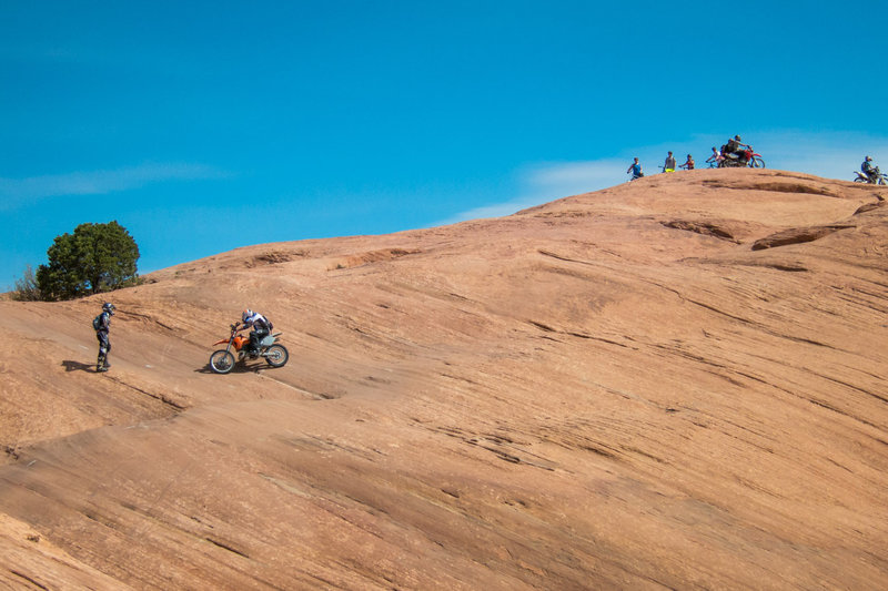 By mid-day more and more trail users will be out in the peak seasons, leading to some waiting at times to clear sections.