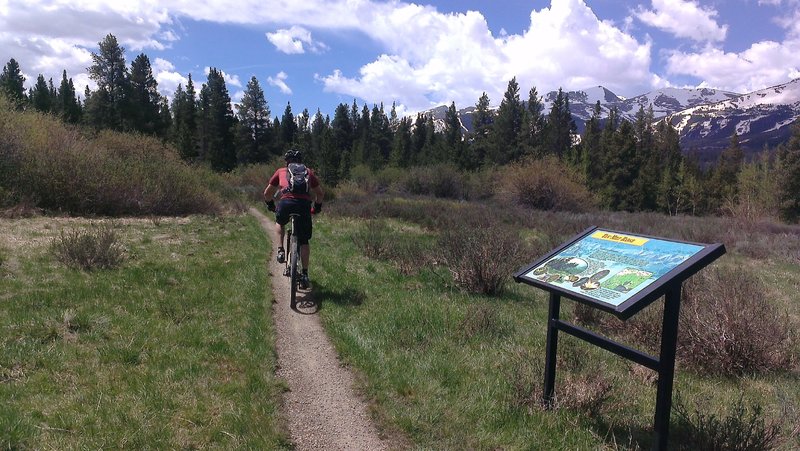 Lower Flume Trail in the meadow