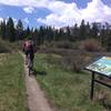 Lower Flume Trail in the meadow