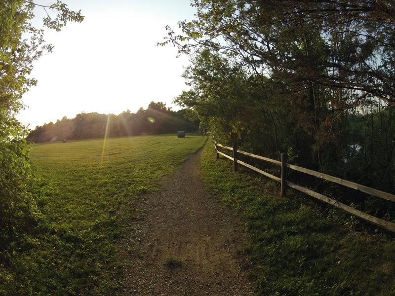 SingleTrack at Blue Marsh