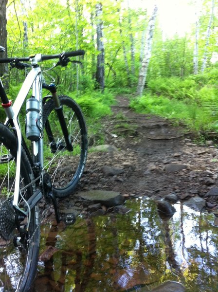 This creek crossing now has a nice wooden bridge over it (as of summer 2015)!