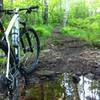 This creek crossing now has a nice wooden bridge over it (as of summer 2015)!