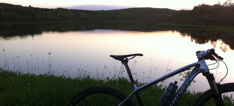 An evening view passing by Hartley Pond, on the way out to the Outer Loop.