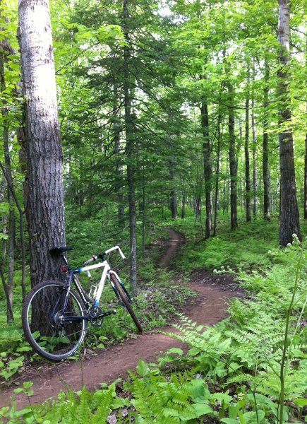 Morning commute to work...on singletrack.