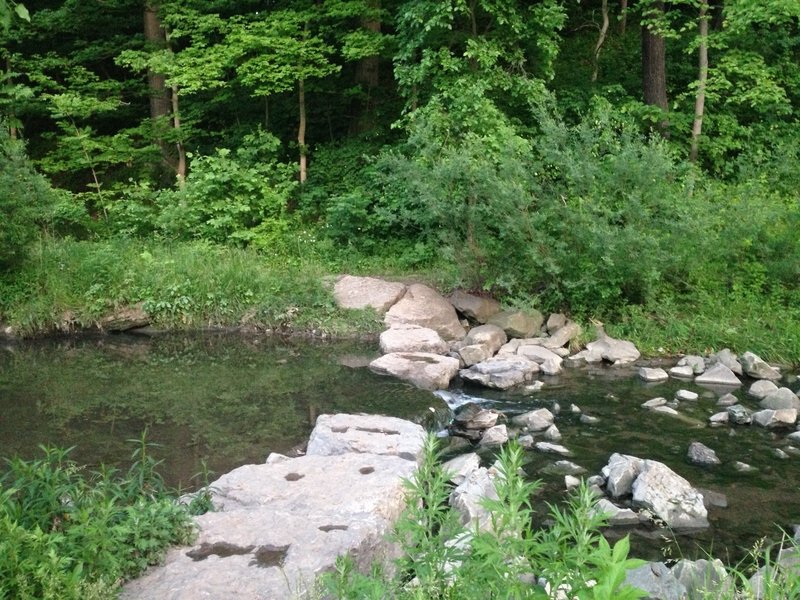 Nine mile run to 276 Stream Crossing