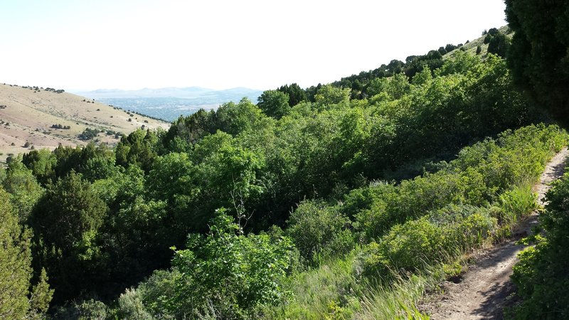 Looking out over Pocatello.