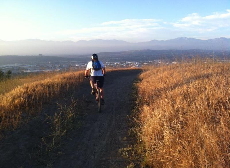 Purple mountains majesty... A beautiful view of the San Gabriel Mountains.