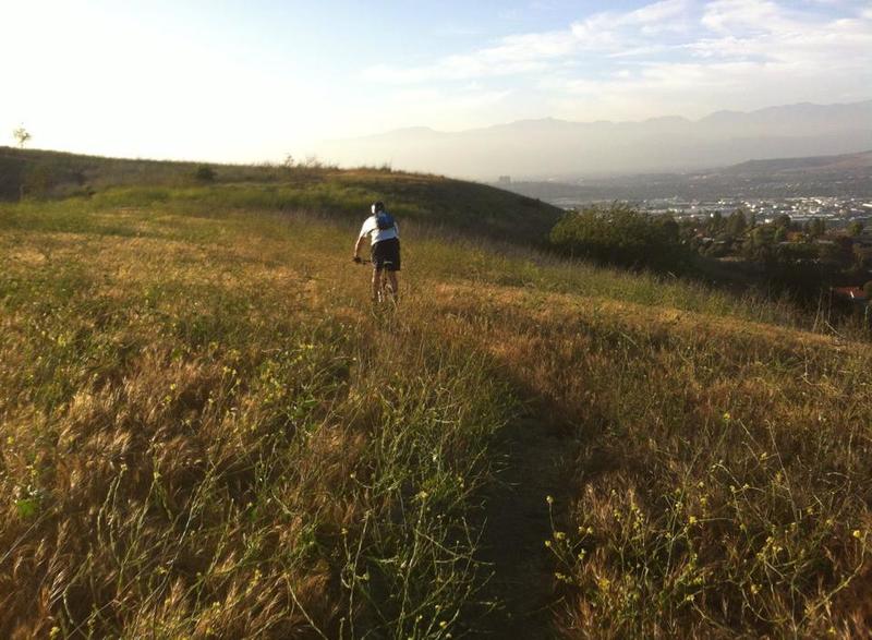 Hidden singletrack through the mustard weed in the spring.