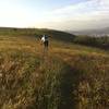 Hidden singletrack through the mustard weed in the spring.