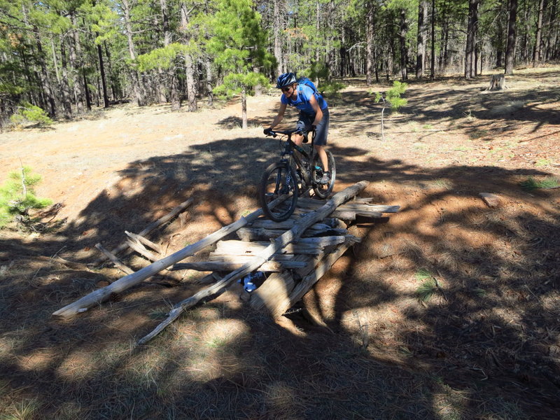 The rickety bridge.