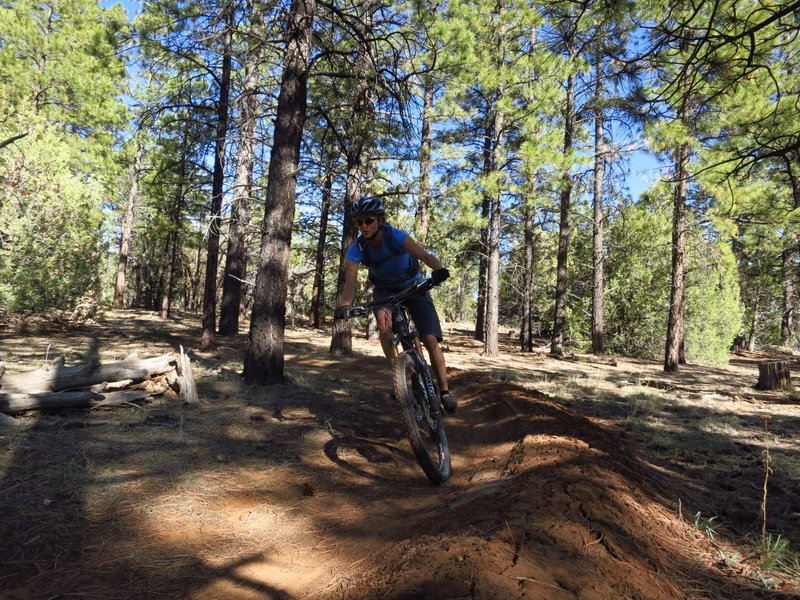 Bermed corners on the Lost Lake Rim Trail.