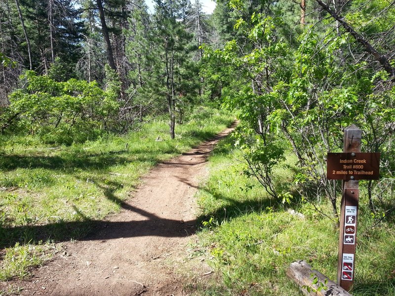 Trail intersection.  make the "wrong turn" and you'll make this trip MUCH longer.