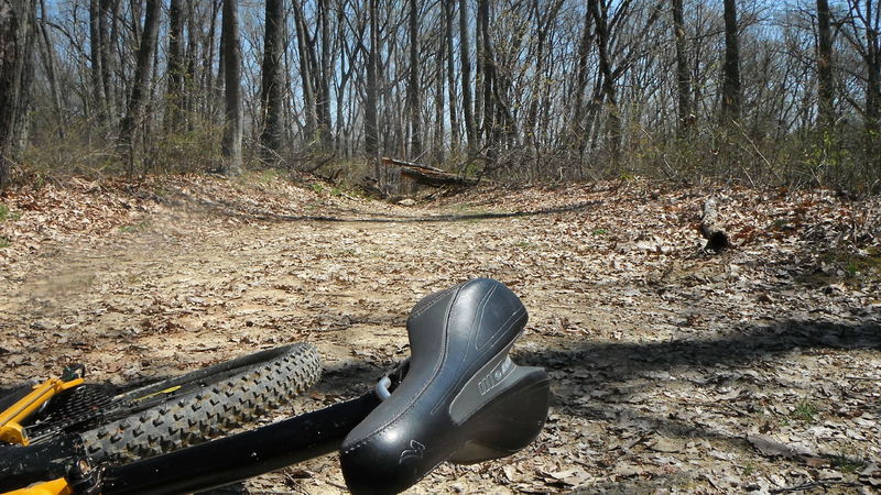 Old fire road on southbound climb