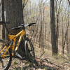 Singletrack on a hillside.