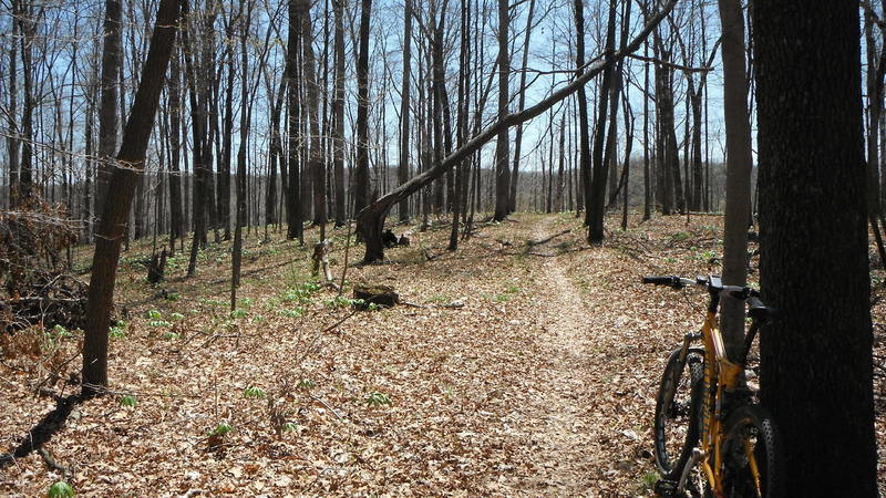 Catch this view when the leaves are down.  In the summertime, it's gone!