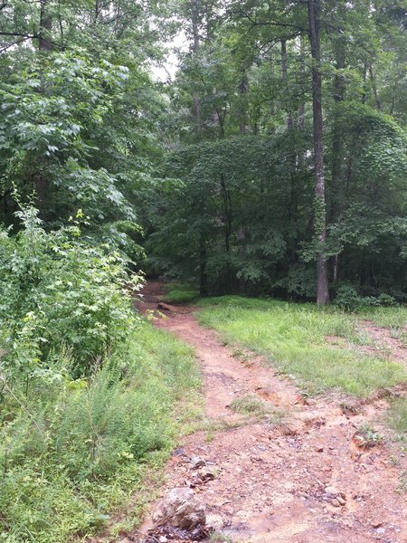 Start of OWASA Corridor trail