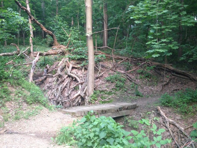 Kilbuck trail - Bridge over small stream