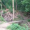 Kilbuck trail - Bridge over small stream