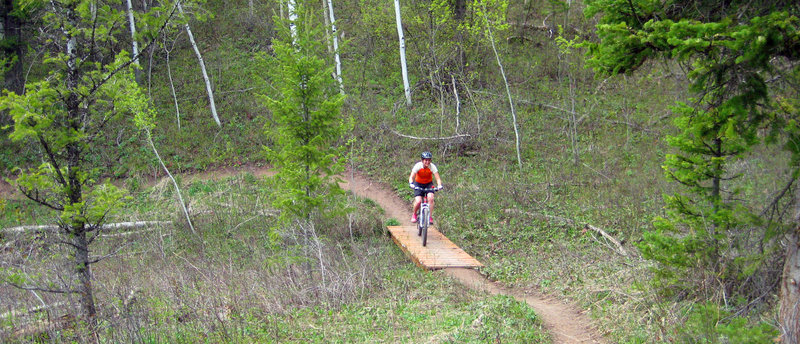 A few nice sturdy bridges on trail.