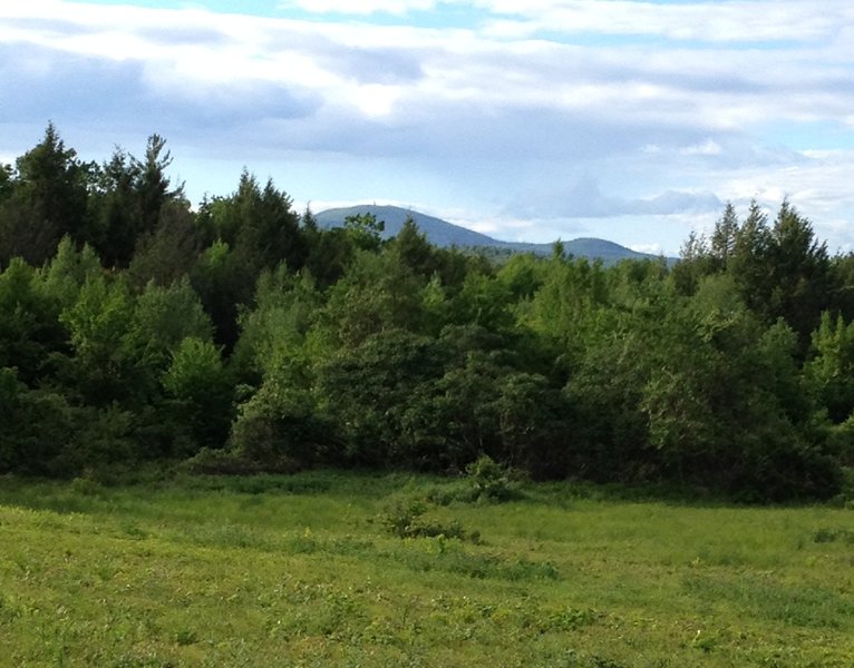 View of Mount Wachusett to the north