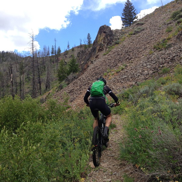 Lower slopes of Adams Gulch.  Not very steep but the scree is deep and very tough to handle.