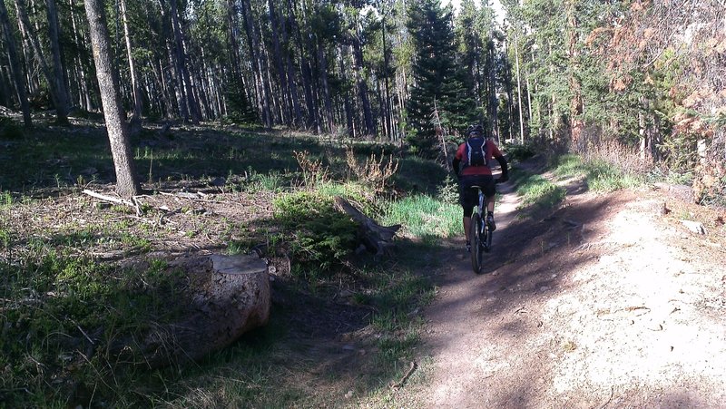 Hermit Placer Trail - flume section