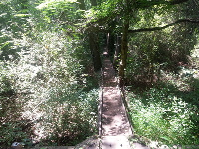 The Poo Tracks on the Farmbrook side of BYT.