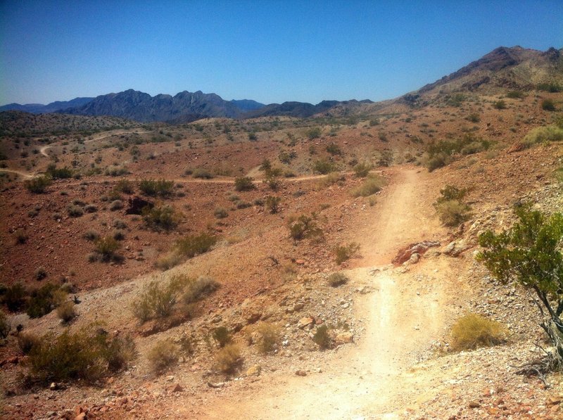 IMBA gullies and trail