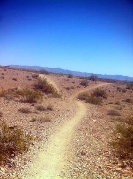 Par None Trail ride right to avoid the small hill or just crank a little speed and coast it.