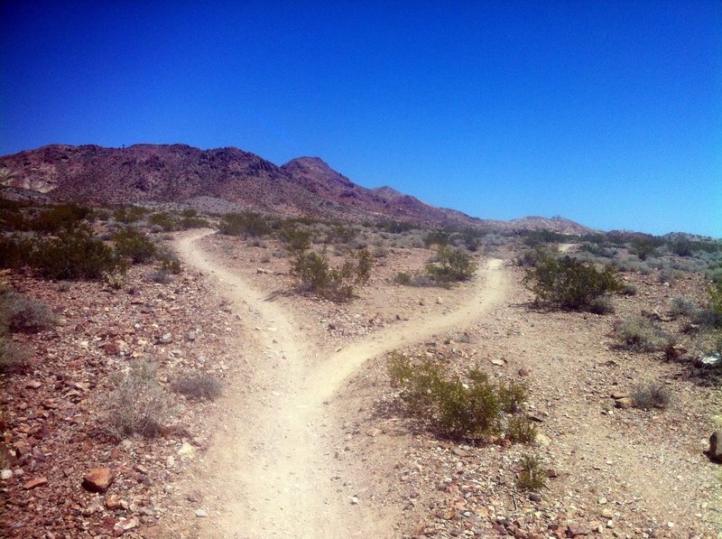Par None Trail goes left or ride right to the gravel pit then back.