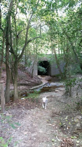 You need to ride through the drainage culverts to get here