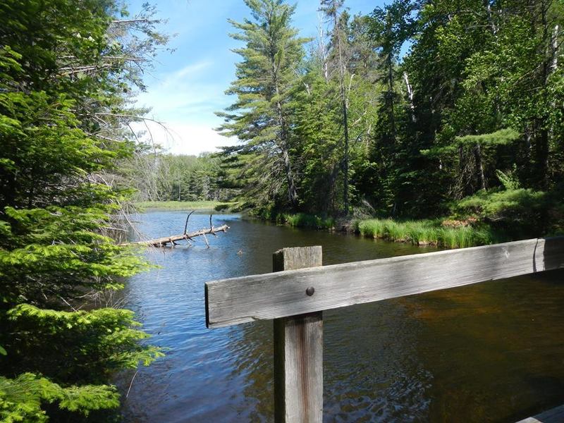 View of Indian River from the trail.