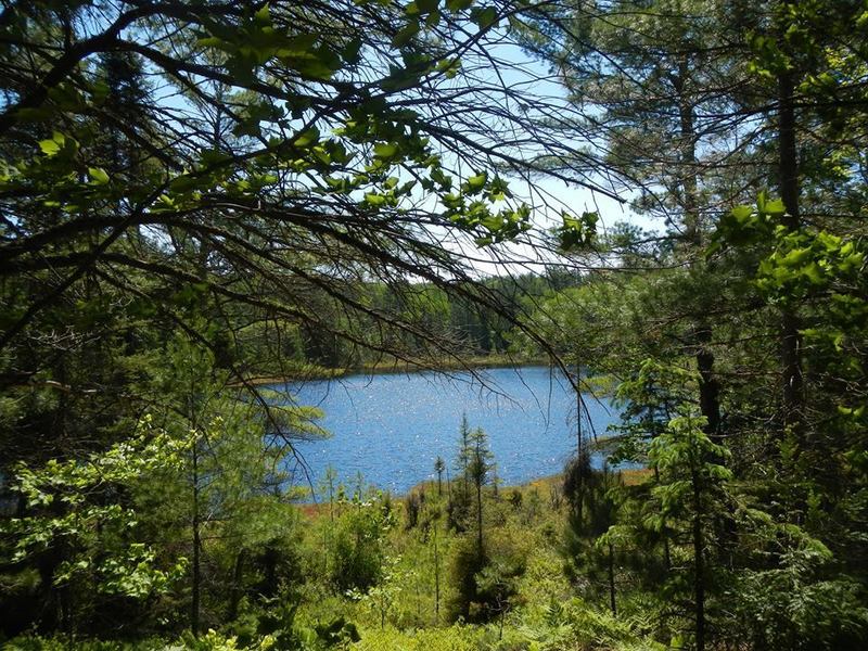 A small lake just off the trail.