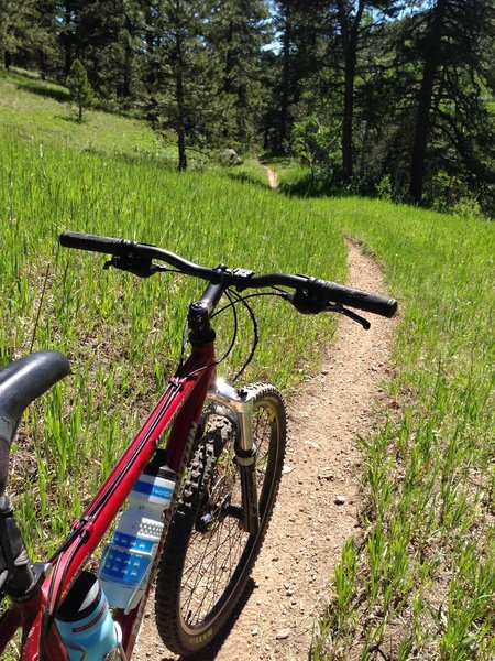 Smooth singletrack near the end of the dirt trail, before the route takes you back into a dirt road through a neighborhood.