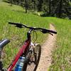 Smooth singletrack near the end of the dirt trail, before the route takes you back into a dirt road through a neighborhood.