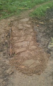 you'll find armoring, small rock gardens, and other technical features on Icky's Trail