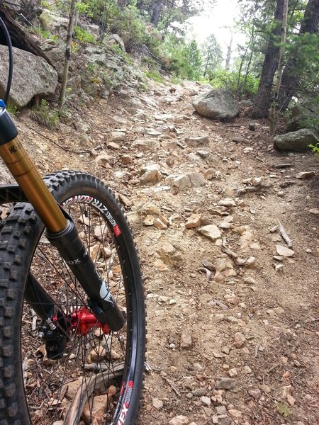 Climb up Mule Deer Trail just before intersection with Blue Grouse