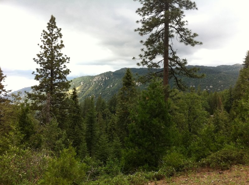 Great views looking North while climbing Abbot Creek.